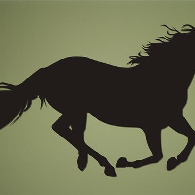  Koń w galopie Nr 10 (NA ZAMÓWIENIE) dekoracje ścienne 3d